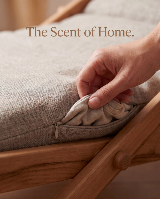 Stress-Free Hotel Stays: Why Your Pet Needs a "Scent-Based" Sanctuary